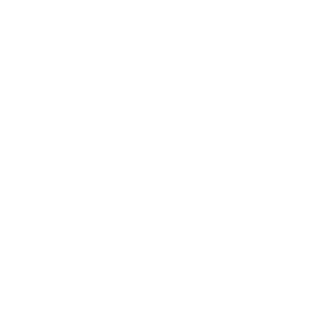 Flexi